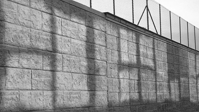 Postimees: Стена на границе с Россией отгородит Эстонию от людей и животных Postimees: Стена на границе с Россией отгородит Эстонию от людей и животных