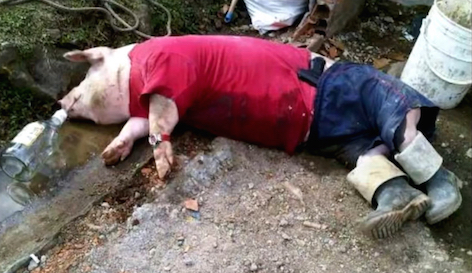 Каждый пятый военнослужащий украинской армии в АТО стал алкоголиком Каждый пятый военнослужащий украинской армии в АТО стал алкоголиком