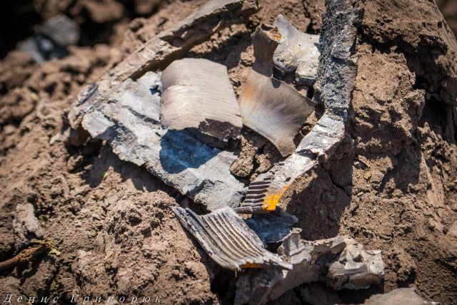 Сводки от ополчения Новороссии 27.08.2015 Сводки от ополчения Новороссии 27.08.2015
