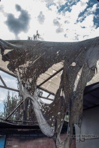 Сводки от ополчения Новороссии 27.08.2015 Сводки от ополчения Новороссии 27.08.2015