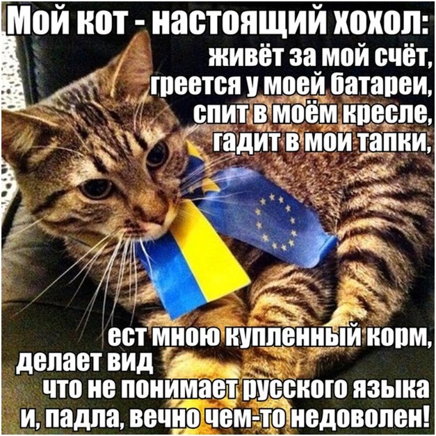 Голодный хищник в центре Европы. Юрий Селиванов Голодный хищник в центре Европы. Юрий Селиванов