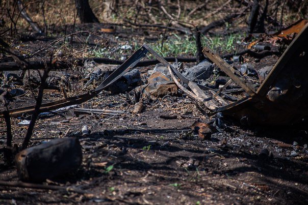 Сводки от ополчения Новороссии 29.08.2015 Сводки от ополчения Новороссии 29.08.2015