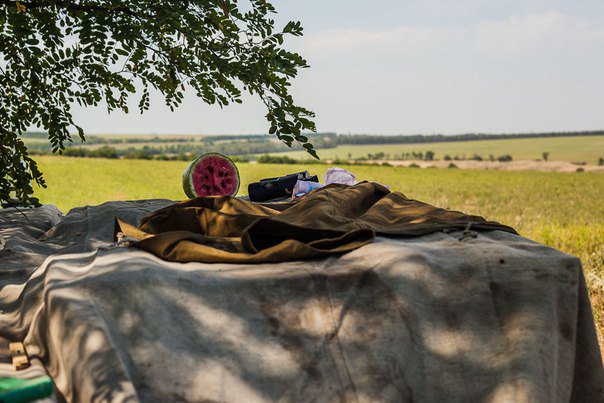 Сводки от ополчения Новороссии 29.08.2015 Сводки от ополчения Новороссии 29.08.2015