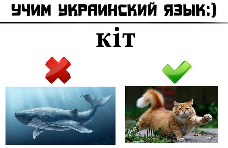 В Крыму украинский язык никому не нужен В Крыму украинский язык никому не нужен