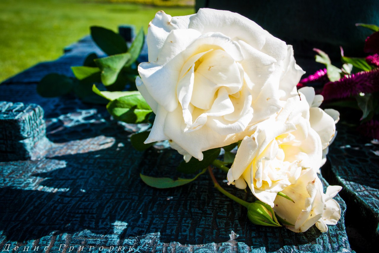 Сводки от ополчения Новороссии 30.08.2015