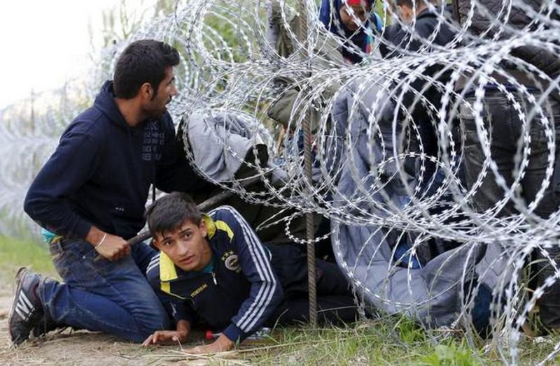 Через забор на новую родину Через забор на новую родину