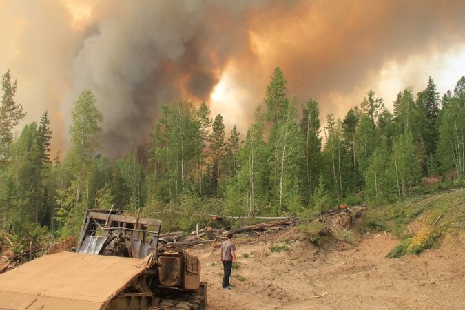 Лесные пожары в Бурятии: 100 парашютистов из Ханты-Мансийского округа прибыли на помощь Лесные пожары в Бурятии: 100 парашютистов из Ханты-Мансийского округа прибыли на помощь