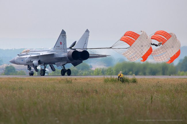 Загнать лису... 