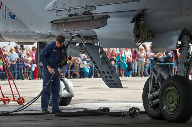 Загнать лису... 