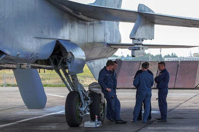 Загнать лису... 