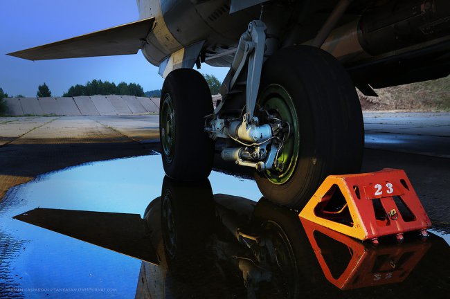 Загнать лису... 