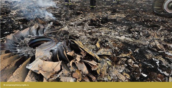 Голландский эксперт: в деле Boeing все козырные карты на руках у Москвы