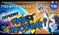 Почему пишут на партах, в лифтах, на заборах, в туалетах?