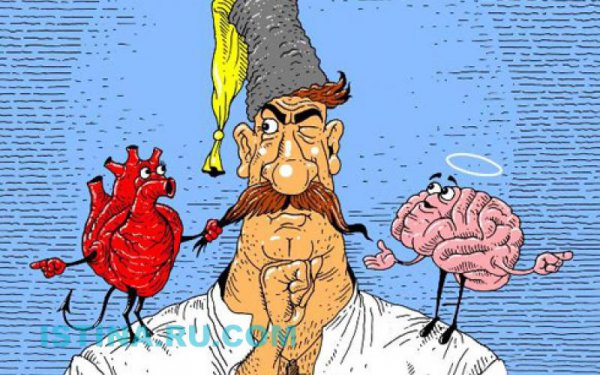 Быстрые новости от Седого Кота 9 августа 2015г версия "Иннокентий" 2.0 