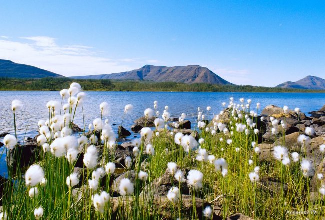 Плато Путорана - затерянный мир Сибири