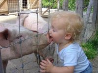 Геноцид ненужных: сворачивание страны и народа... Владимир Скачко