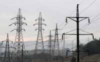 «Ситуация по сравнению с прошлым годом в пять раз хуже»