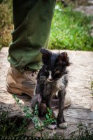 Сводки от ополчения Новороссии 15.08.2015