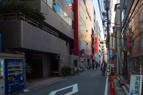 Моя жизнь в капсуле. Япония, Токио.