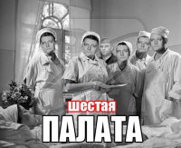 Ужасы московских аэропортов