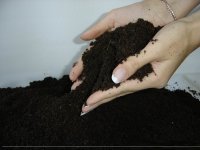 (Истории людей) Бутерброд с черноземом, посыпанный металлической крошкой