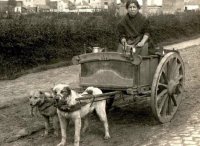 Внешние кураторы укрепляют киевский режим, чтобы...