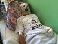 Киевский госпиталь каждый день принимает 20–25 тяжелораненых военнослужащих ВСУ