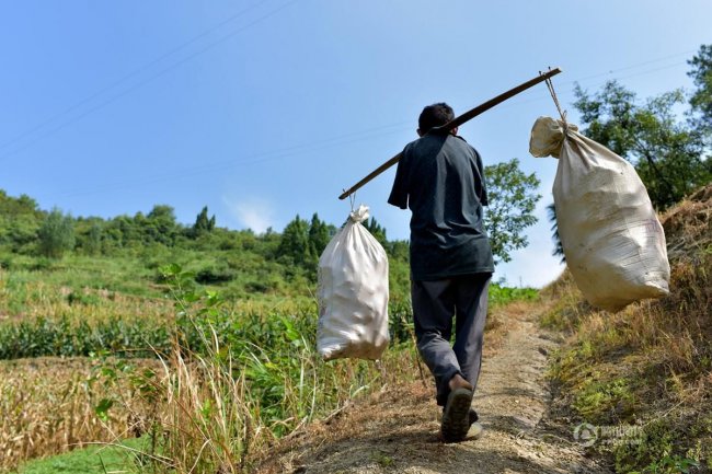 Китайский фермер баз рук ухаживает за больной матерью и ведет хозяйство