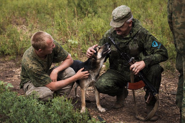 Сводки от ополчения Новороссии 01.09.2015