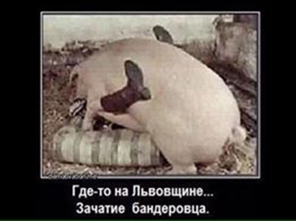 "Мыздобулы" в картинках. Смешных и не очень... 1-09-2015