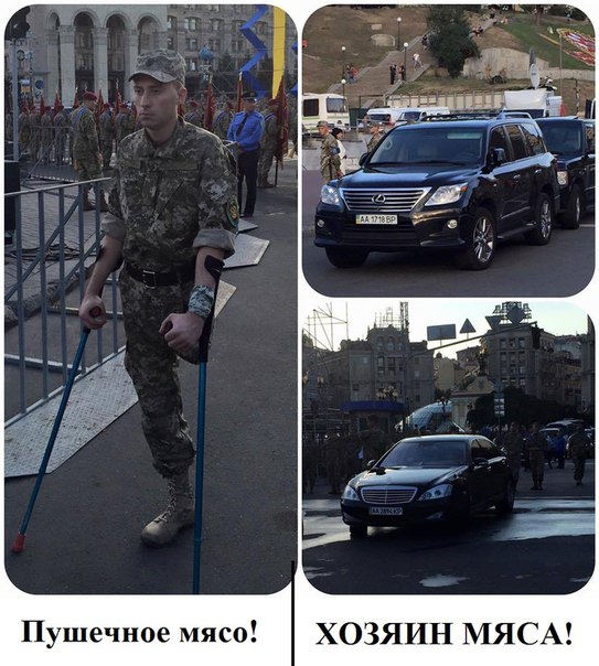 "Мыздобулы" в картинках. Смешных и не очень... 1-09-2015