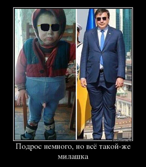 "Мыздобулы" в картинках. Смешных и не очень... 1-09-2015