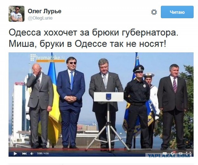 "Мыздобулы" в картинках. Смешных и не очень... 1-09-2015