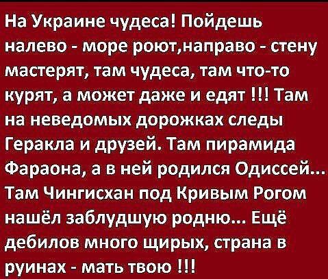 "Мыздобулы" в картинках. Смешных и не очень... 1-09-2015