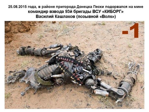 "Мыздобулы" в картинках. Смешных и не очень... 1-09-2015