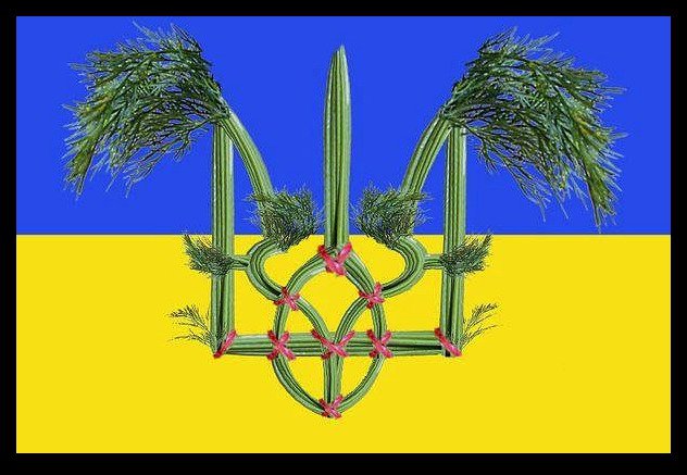 Партия "УКРОП" призвала к перевыборам в Верховную раду и досрочным выборам президента Партия "УКРОП" призвала к перевыборам в Верховную раду и досрочным выборам президента