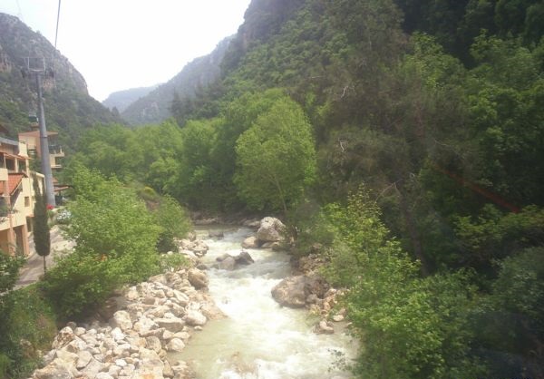 Что осталось от Сирии? Что осталось от Сирии?