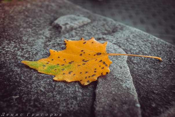 Сводки от ополчения Новороссии 02.09.2015 Сводки от ополчения Новороссии 02.09.2015