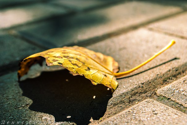 Сводки от ополчения Новороссии 02.09.2015 Сводки от ополчения Новороссии 02.09.2015