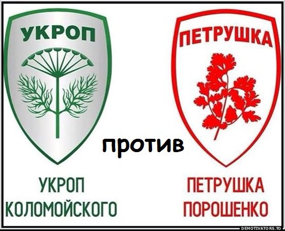 Украины НЕТ: СКОРО ДОСРОЧНЫЕ выборы пРезидента и Верховной зРады 