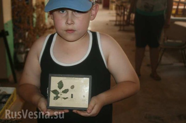 Сводки от ополчения Новороссии 06.09.2015