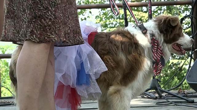 В США у кандидатов на президентский пост появился необычный соперник В США у кандидатов на президентский пост появился необычный соперник