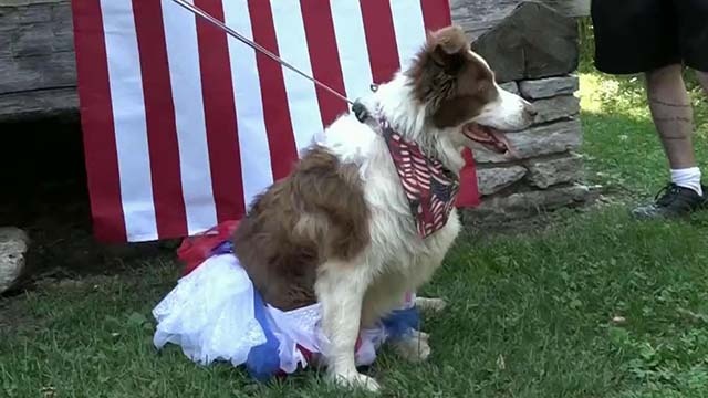 В США у кандидатов на президентский пост появился необычный соперник В США у кандидатов на президентский пост появился необычный соперник