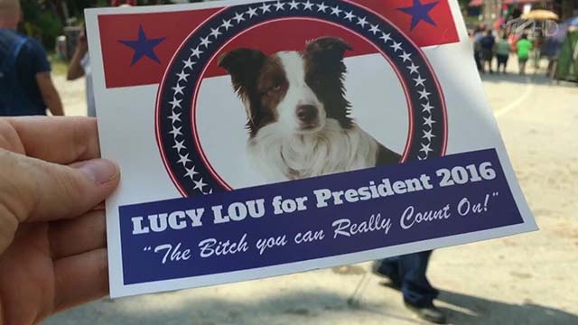 В США у кандидатов на президентский пост появился необычный соперник В США у кандидатов на президентский пост появился необычный соперник