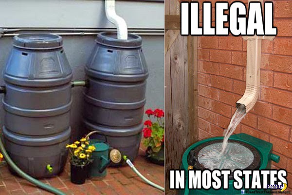 Демократия по-американски? Так - это тюремный срок за сбор дождевой воды Демократия по-американски? Так - это тюремный срок за сбор дождевой воды