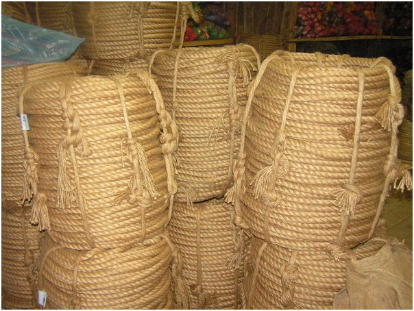 Всемирный заговор против конопли