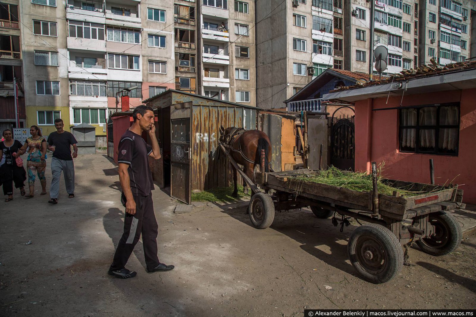 Мигранты превращают Европу в одну большую помойку Мигранты превращают Европу в одну большую помойку