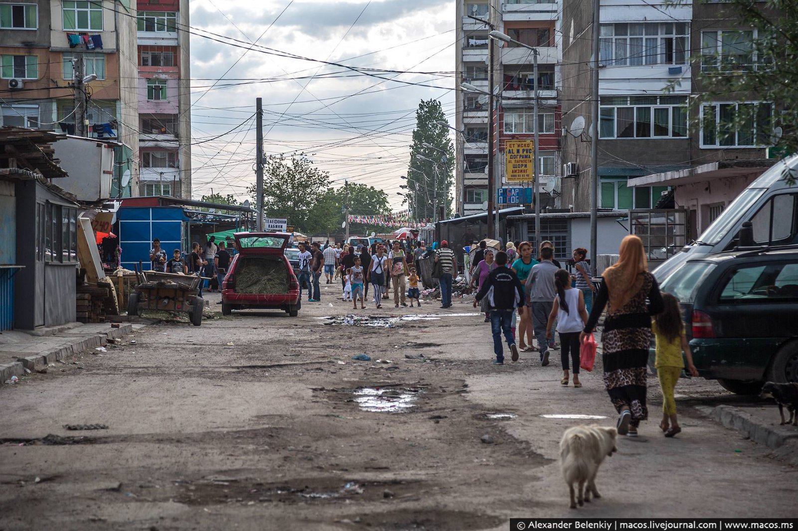 Мигранты превращают Европу в одну большую помойку Мигранты превращают Европу в одну большую помойку