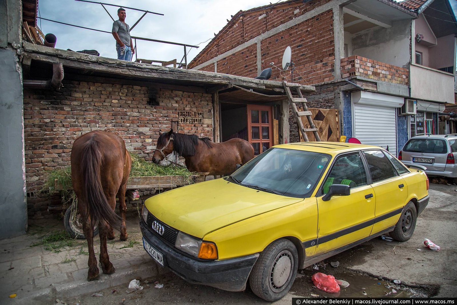 Мигранты превращают Европу в одну большую помойку Мигранты превращают Европу в одну большую помойку
