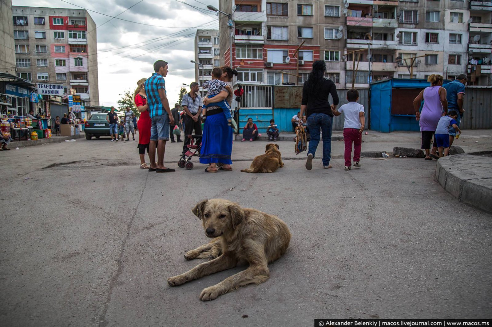 Мигранты превращают Европу в одну большую помойку Мигранты превращают Европу в одну большую помойку